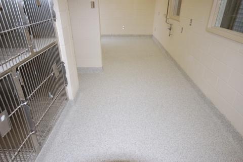 Animal shelters and facilities benefit from the ease of cleaning a seamless floor.