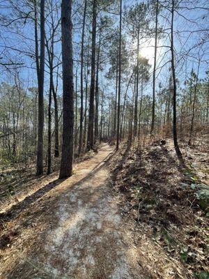 The trails are sandy and covered with pine needles but easy to navigate