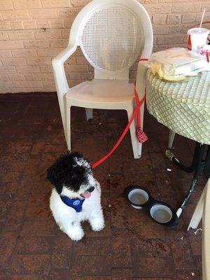 Outdoor seating and pet friendly