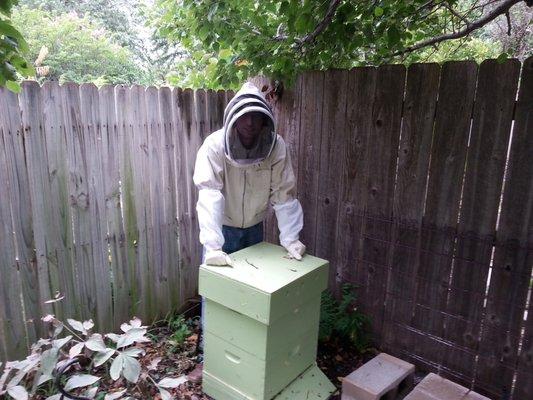 Steve and one of his bee hive's