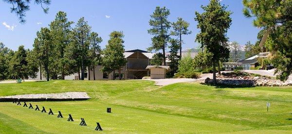 The driving range (free range balls)