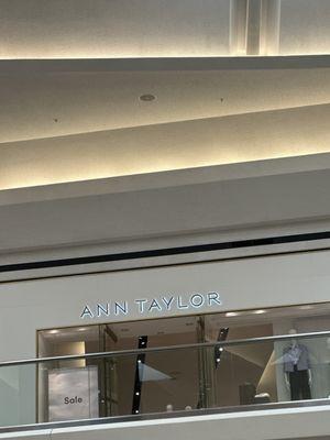 Ann Taylor