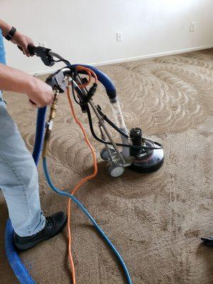 Mr Mario's Carpet Cleaning