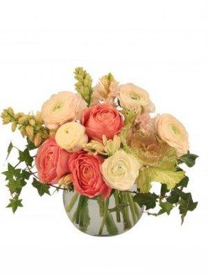 CALMING CORAL
ARRANGEMENT
We love how beautifully the garden roses and ranunculus pair together in this Calming Coral Arrange...