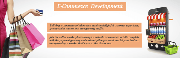 Web Development, E-commerce Development, Shopping Portal, CMS