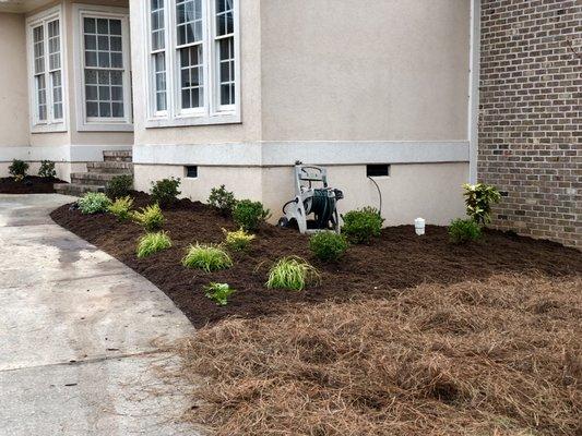 Plant bed reno-Cary.