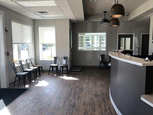 Lobby with a view of the feline boarding suite