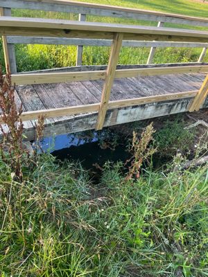 Bridge over creek