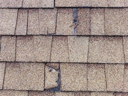 Damaged/decaying roof shingles