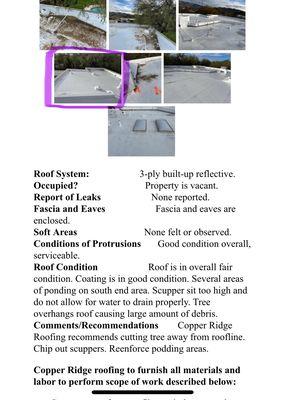 Circled pic shows MB roof included specifically in inspection report. entirely separate roof that sits higher than the main.