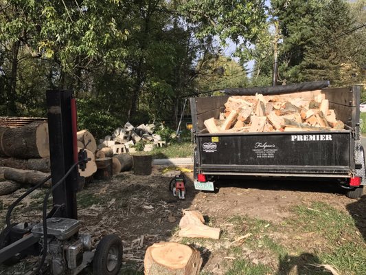 We can deliver any amount of wood you want, only hardwood, mostly oak