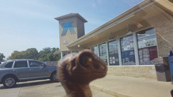 Bob the Raptor Says "Mammals come here to get gas for their cars and snacks and stuff!"