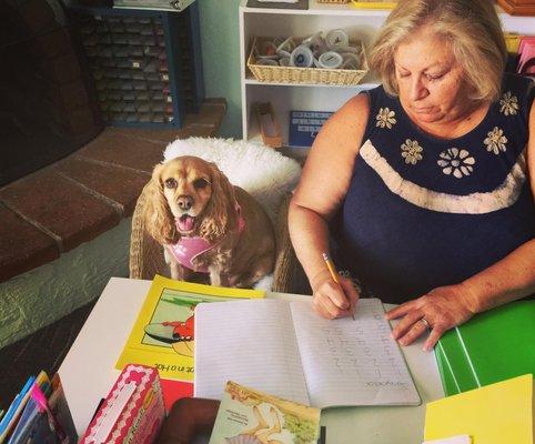 Our furry homework helper Nala, gets to work when the kids go home.