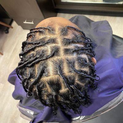 Starter Locs