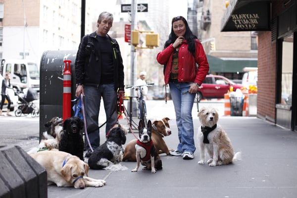 Family owned business since 1998.  This is a pic of my dad and I with some of our extended canine family.