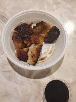 Takeout burnt a$$ dumplings!