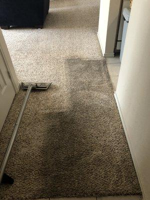 Carpet Cleaning