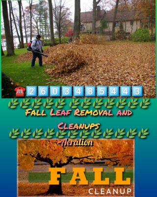 Call us for a free estimate 2603485443 
Fall Yard clean ups