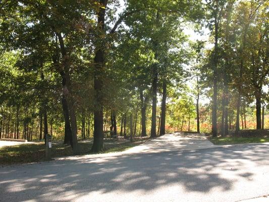 Our campground also offers shade.