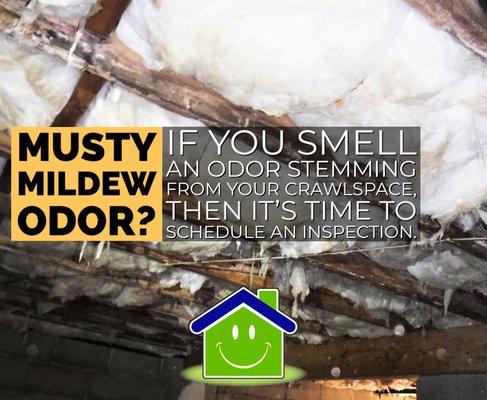 Musty Odor? Homes that are over an exposed crawlspace, often have odor issues. Have your crawlspace professionally assessed by a pro today!