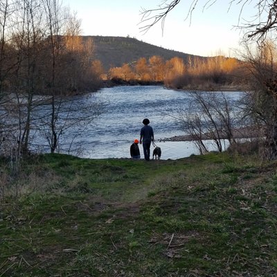 My boys & dogs checking out the river and Table Rock