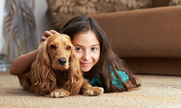 Green Zone Carpet Cleaning