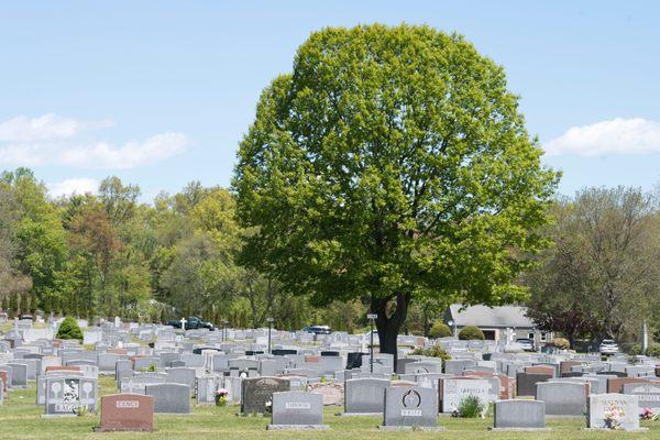 St. John Cemetery