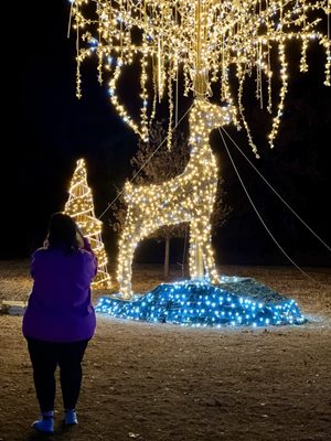 Annual Holiday Lights Display December 2023