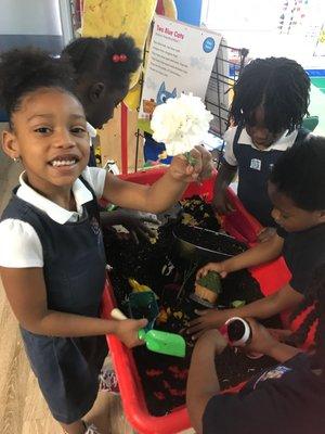 Sensory Table Exploration