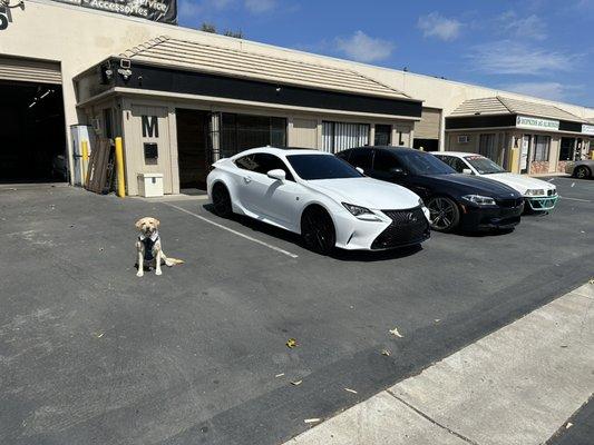 Lexus RCF for fluid services and ADAS calibration, DINAN F10 m5 for maintenance and drift car e36. AND OLIVER!!