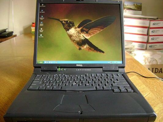 Dell C8xx - Bird