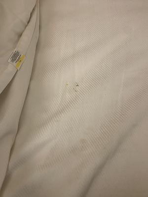 Dirt and hair on bedding