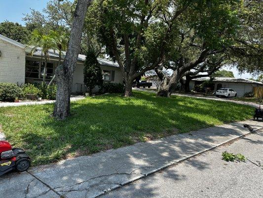 Lawn mowed and bushes added by sidewalk