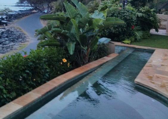 Weekly pool service throughout Maui