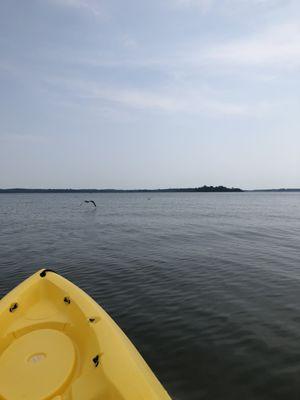 View from my rented kayak