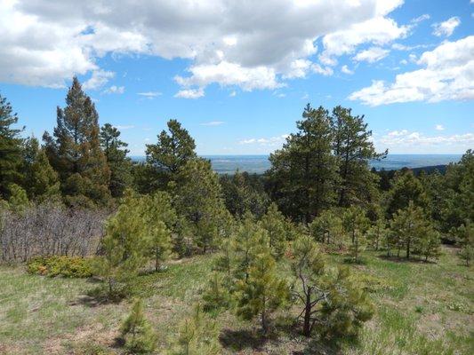 View of Castle Rock from one of the "Scenic Lookouts."