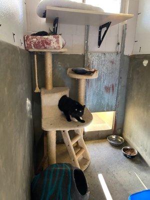 The indoor section of the Catio that has a door to the outdoor Catio space.