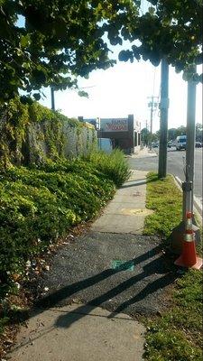 Family Dollar ( Nassau county-Hempstead -L.I.) back of the store