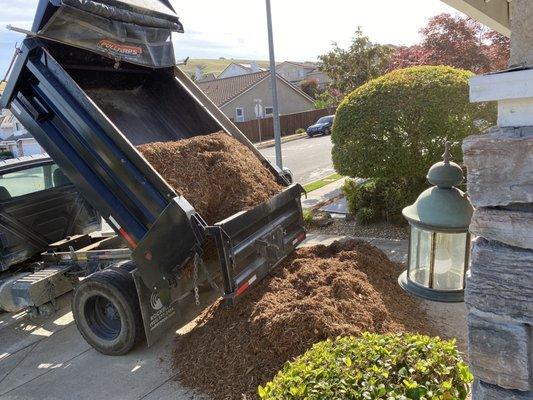 Natural organic mulch