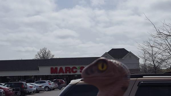 Bob the Raptor Says "Mammals come here to get groceries."