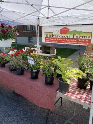 Richardson's farms!!! Love this place!!! They also have a store!!!