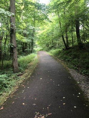 Bike Trail