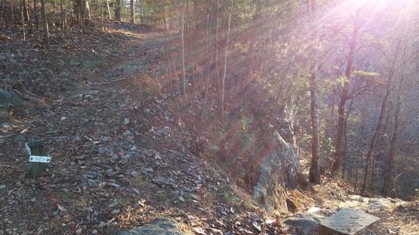 Junction: Canyon Rim Trail and Steep Trail.