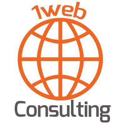 1 Web Consulting Florida SEO Company