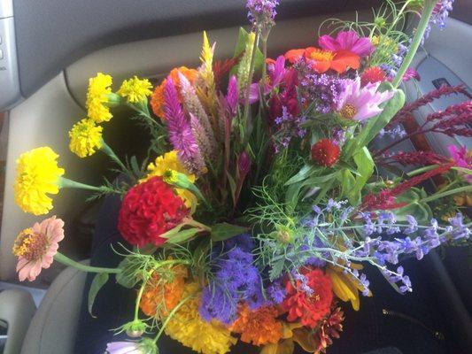 Pick your own flowers! $7 for the bucket and you pick as much as you can fit into the bucket.