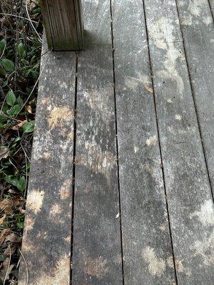 Bleach staining on EPAY decking. Decks were not covered until WE covered them. Tarheel Paints has not fixed this.