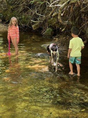 Favorite day is water day. Perfect way we beat the heat. Kona likes to join us sometimes.