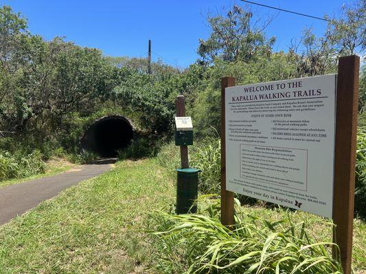 6/3/22 Kapalua walking trails