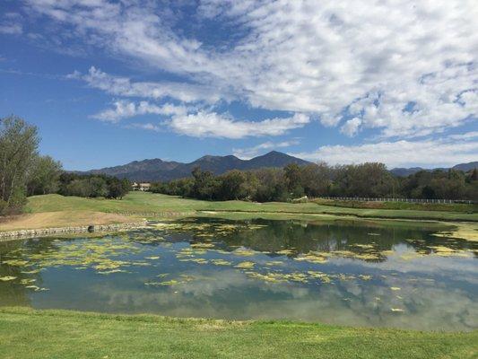 Pond on #11 North