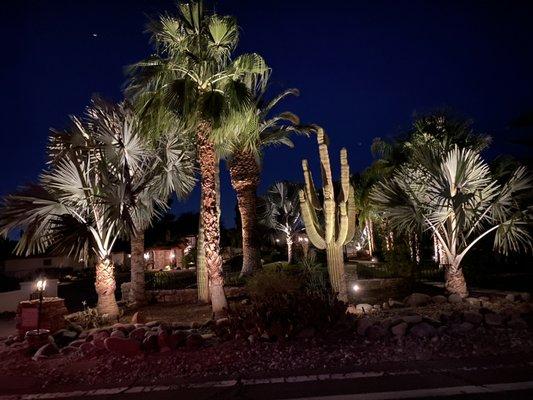 Landscape Lighting